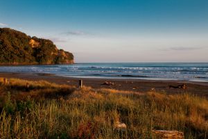 07Jun2015010604Ohope Beach Early Morning.jpg